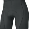 Gore C3 Liner Short Tights+ Fietsonderbroek Dames -Exporteren Cycling Kleding Winkel gore c3 women liner short tights black